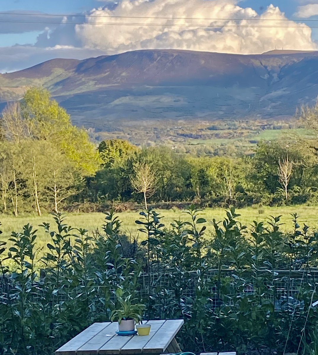 🏡 ⛰️ ⛅️ Co. Tipperary 💛