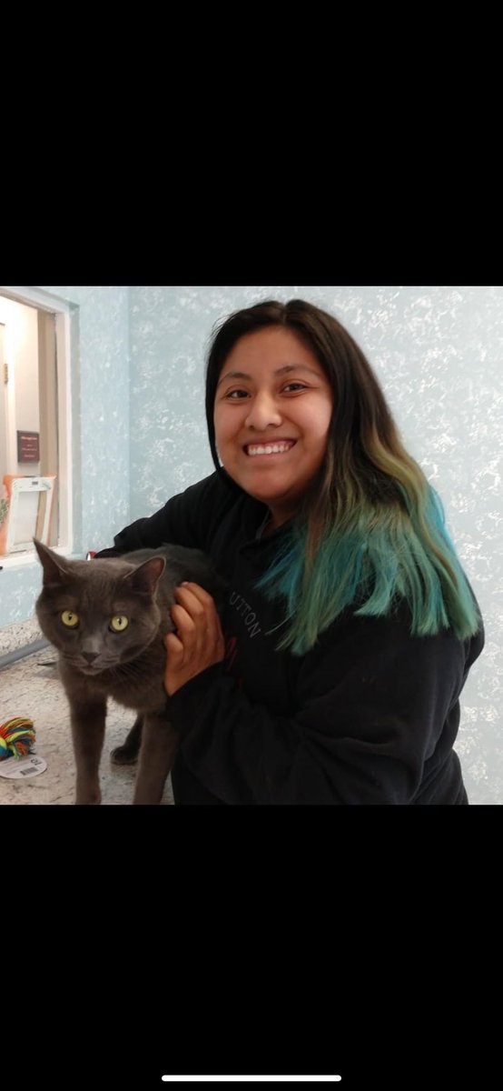Our sweet Jinx has found his forever home! His new mom LOVES that he's sassy 🤣

 #animalshelter #animalshelters #fpas #rescuelife #sheltercats #rescuecats #sheltercat #rescuecat #animalrescue #rescue #PleaseShare #foreverpawsfamily #community #adopt #familypetsaresuperheros