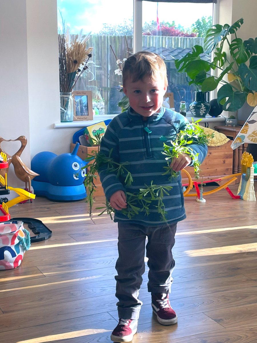 Fred’s weed identification skills coming on nicely 🌱