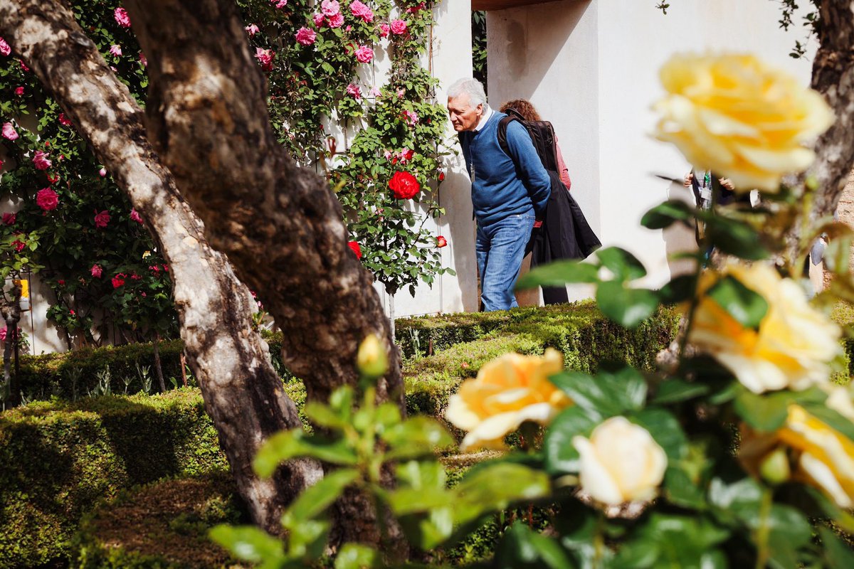 💚🌸¡Hoy celebramos el Día Europeo de los Jardines Históricos! Los colores y olores de primavera han sido protagonistas en la visita que hoy hemos organizado en Generalife para celebrar este día. @EU_Hist_Gardens #alhambracultura #alhambrajardines