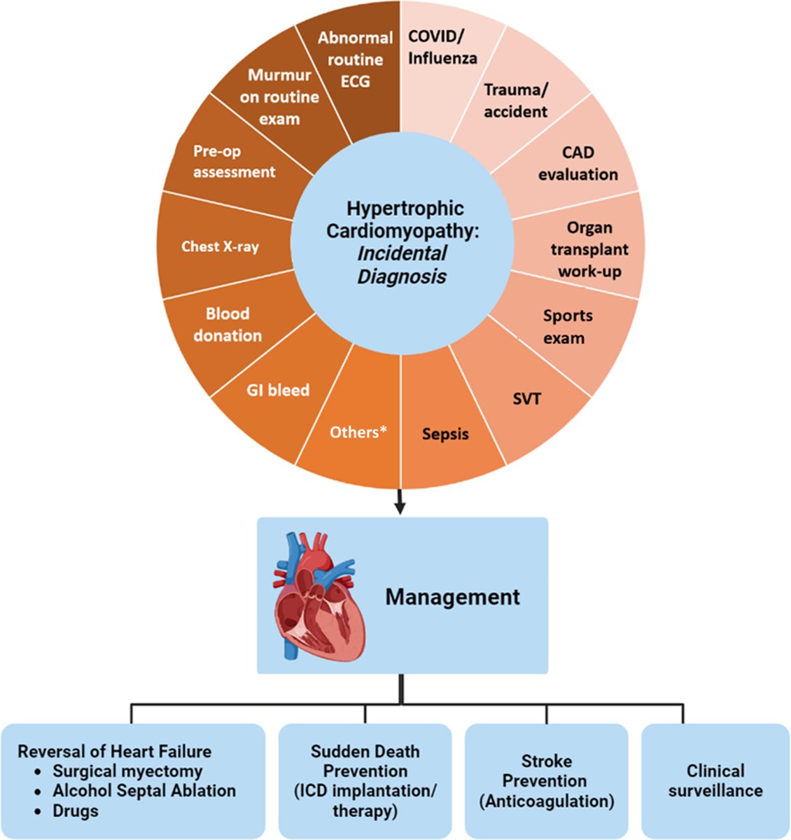 Incidental #cvHCM Dx proved common in a consecutive cohort (ie, 25%) & leading to effective Tx strategies in 40%. These observations underscore the importance of vigilance & high index of suspicion for HCM and the need for prompt diagnosis bit.ly/3JHSA0t #JACCAdvances