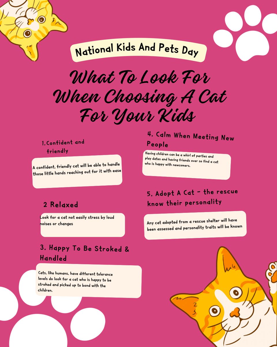 26 April is National Kids and Pets Day. A few tips for finding the best cat for your children. Adult, calm cats are best - and you can adopt them from us on cwwrescue.org/adoption-proce… #cutecat #rescuecats #cutecats #catlovers #catcharity #kidsandcats #nationalkidsandpetsday