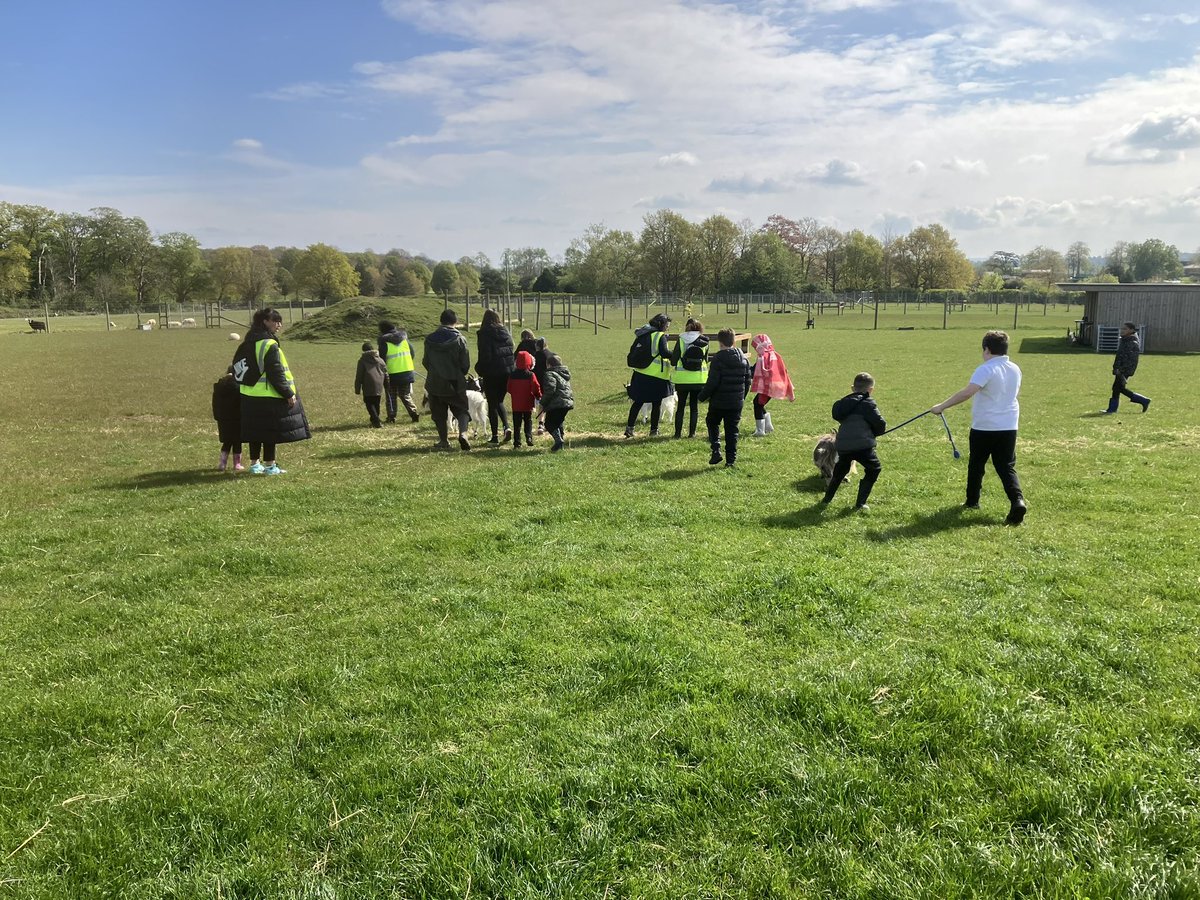 Goats, kids, countryside, nature. Lovely morning introducing these youngsters from our @RadleyLinks partnership primary schools in Blackbird Leys, Oxford to our little farm. #SEND #Inclusion #Opportunity #Partnerships