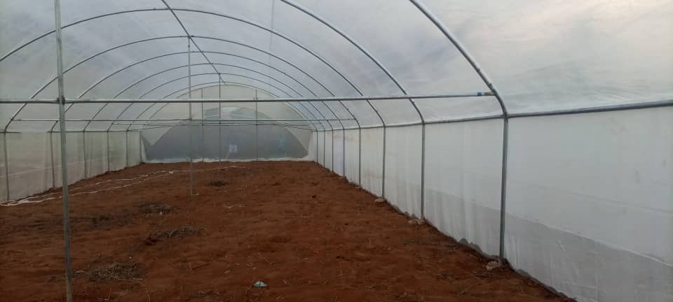 emekabk21's tweet photo. ✍️Today is truly a day of rejoicing🎊🎉🫑🫑🫑🫑

✍️Our  First Anambra Greenhouse farms Cluster in Awka Anambra State is almost ready 

✍️Remember our vision and goal..

✍️18,690 units of Greenhouses...$243million new agro investments in the South East of  Nigeria 

✍️Annual revenue of over $430million into the next 20 years 

✍️Job creation of over 36,000 direct jobs and 50,000 indirect jobs 

✍️Creating massive wealth and food security for our people 

✍️All our agro commodities will be produced organically 

✍️We are also rolling out an app and logistics company to deliver our agro products , in any city where we operate from farms to your homes , at 50% the price in the open market ..mm

Power of vision and drive  ...Join us 

https://t.co/NyjuyzReGk 

Thank you Ned Nwogu and Austin Ufomba for believing in me 

Thank you,  Ikenna Umezurike and Uchechi Bede Okoro  for going on this journey with me 

Let's go ... Please hand over your gated home and land ..let's do this more ..

What's app 09090900989

OBIARAERI,  Nnaemeka Onyeka