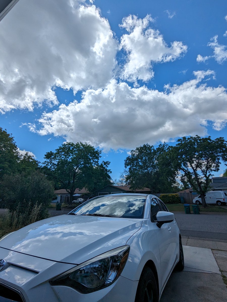 BleeBlap (@therealbleeblap) on Twitter photo 