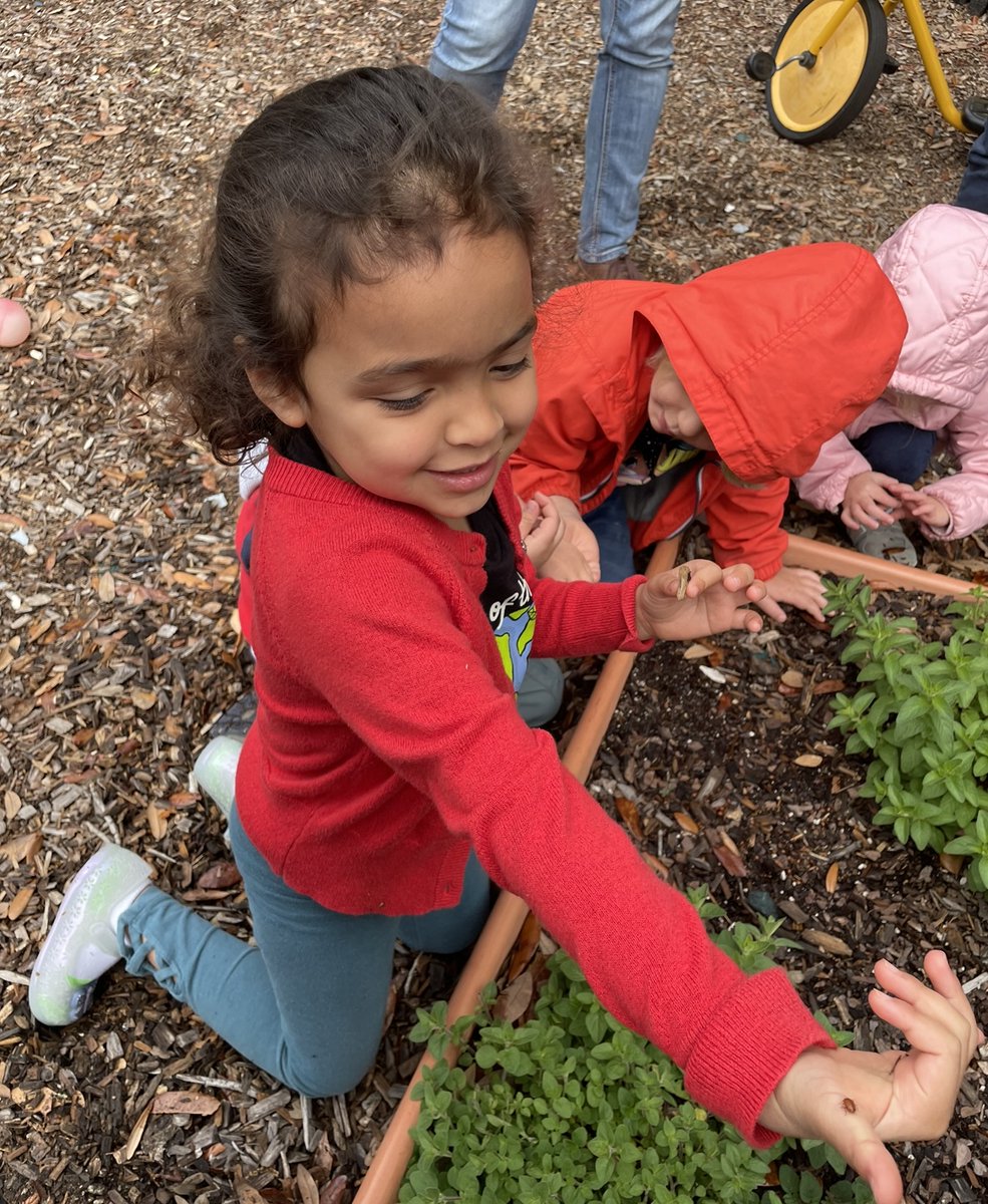 #ARRRGH little Pirates in the NDCDC enjoyed celebrating Earth Day with a Ladybug release.🐞 Leading up to the event, they learned about Ladybugs and how important they are as a natural pesticide. They loved greeting our new ladybug friends and releasing them.