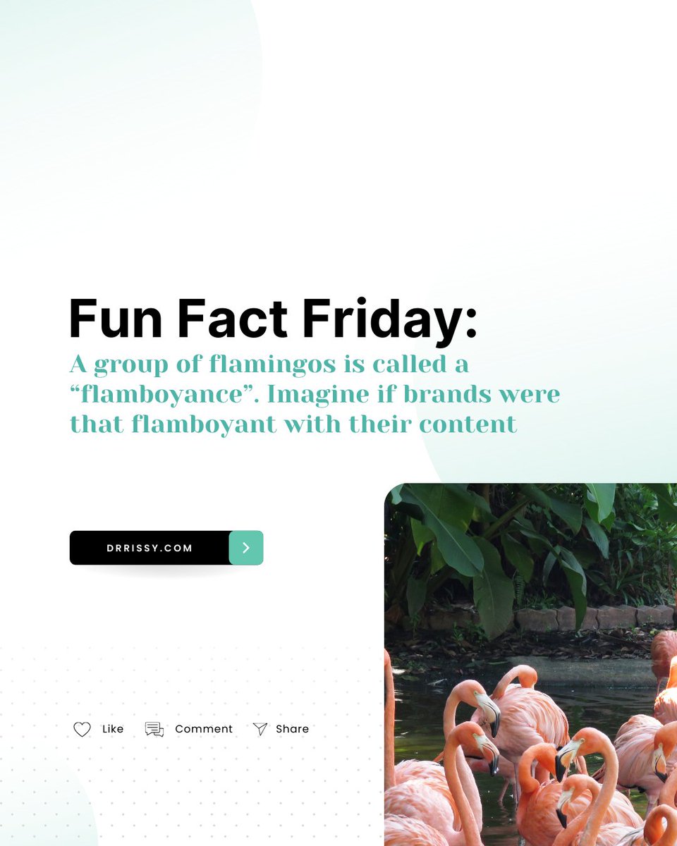 Fun Fact Friday: A group of flamingos is called a 'flamboyance.' Imagine if brands were that flamboyant with their content? We can help with that. #BeFlamboyant #DrRissysContent