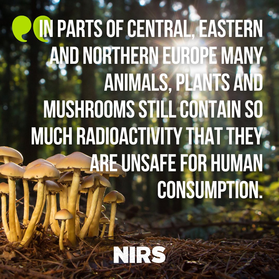 38 years after the Chornobyl nuclear plant meltdown, much of the wildlife and vegetation in the area remains so radioactive that it's unfit for human consumption. We must demand a nuclear-free future free of this continued hazard. #ChornobylAnniversary theconversation.com/at-chernobyl-a…