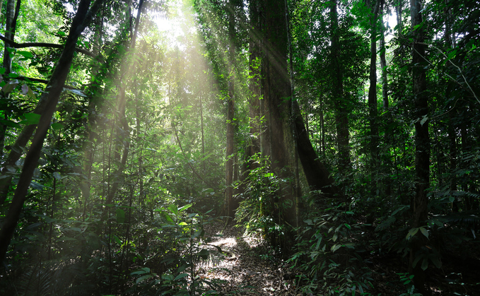 Fashion brands pledge to stop sourcing from endangered forests businessgreen.com/news/4200048/f… #ESG #sustainablefashion #fashion @altruistify @SustainableFCo @thinkthreads_