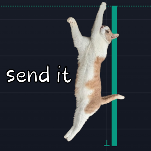 $DUMBASS Cat tweet media