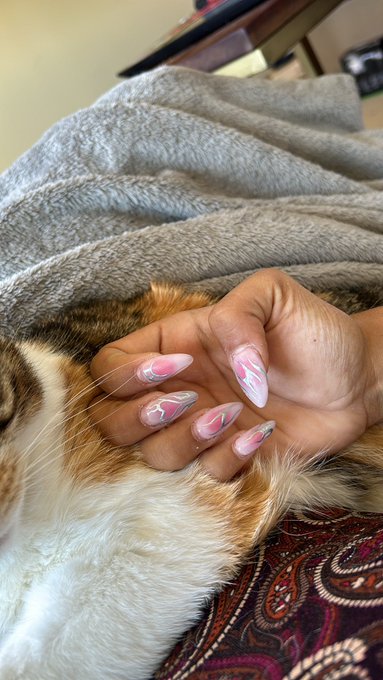 @kitty_kaykay2 https://t.co/8qssFCpNQD<a class="tags" target="_blank" title="On Twitter" href="/?out=eyJ0eXAiOiJKV1QiLCJhbGciOiJIUzUxMiJ9.eyJpYXQiOjE3MjI5NjczMTcsImlzcyI6InR3cG9ybnN0YXJzLmNvbSIsIm5iZiI6MTcyMjk2NzMxNywiZXhwIjoxNzU0NTAzMzE3LCJyZWRpcmVjdF91cmwiOiJodHRwczovL3R3aXR0ZXIuY29tL2tpdHR5X2theWtheTIifQ.vn7AcnUzEZoAOKzKBv4DcfX7BoWnVf12exrUHlvNkJE3YvEh2Y6vF-9ZIALiq69gqR8p1tKZMKmGo-ZrMISCrw">@kitty_kaykay2</a>