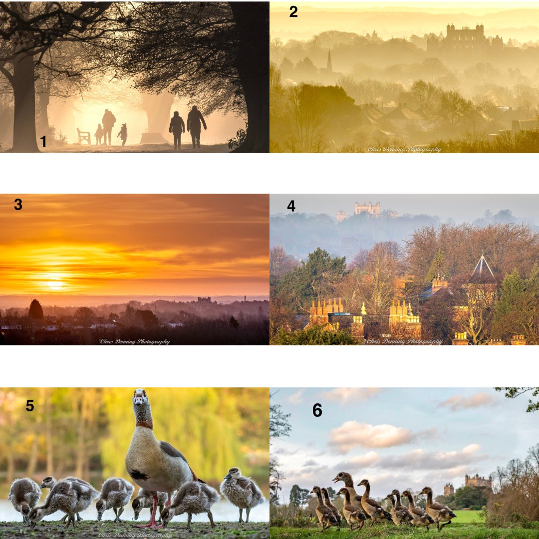 Fancy co-creating a 2025 @WollatonHall calendar? Monthly, I’ll post 6 pics. Vote for your fave(s). Sales from Oct; all profits to good causes April choices 😊😊 1) Lakeside stroll 2) Wollaton mist 3) Distant sunrise 4) Castle-Park-Hall 5) Goose lake 6) Goose hall