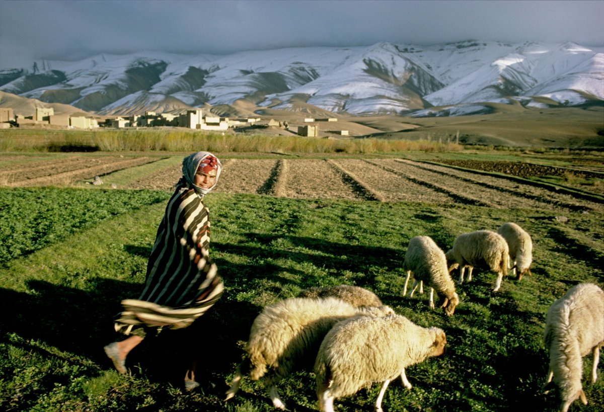 Imilchil, Morocco 🇲🇦
📷: Kazuyoshi Nomachi