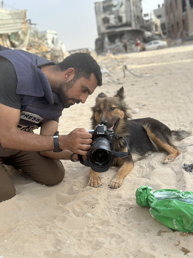 This brave Palestinian journalist in Khan Younis shares his work with his dog which did not leave him during the hard times..

He says: “This dog starved and dehydrated when I starved and dehydrated due to the lack of food and water in #Gaza. So that, I feel its pain which is…