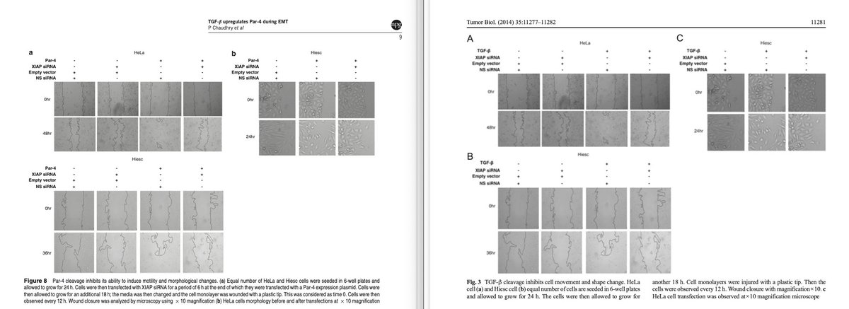 MicrobiomDigest tweet picture