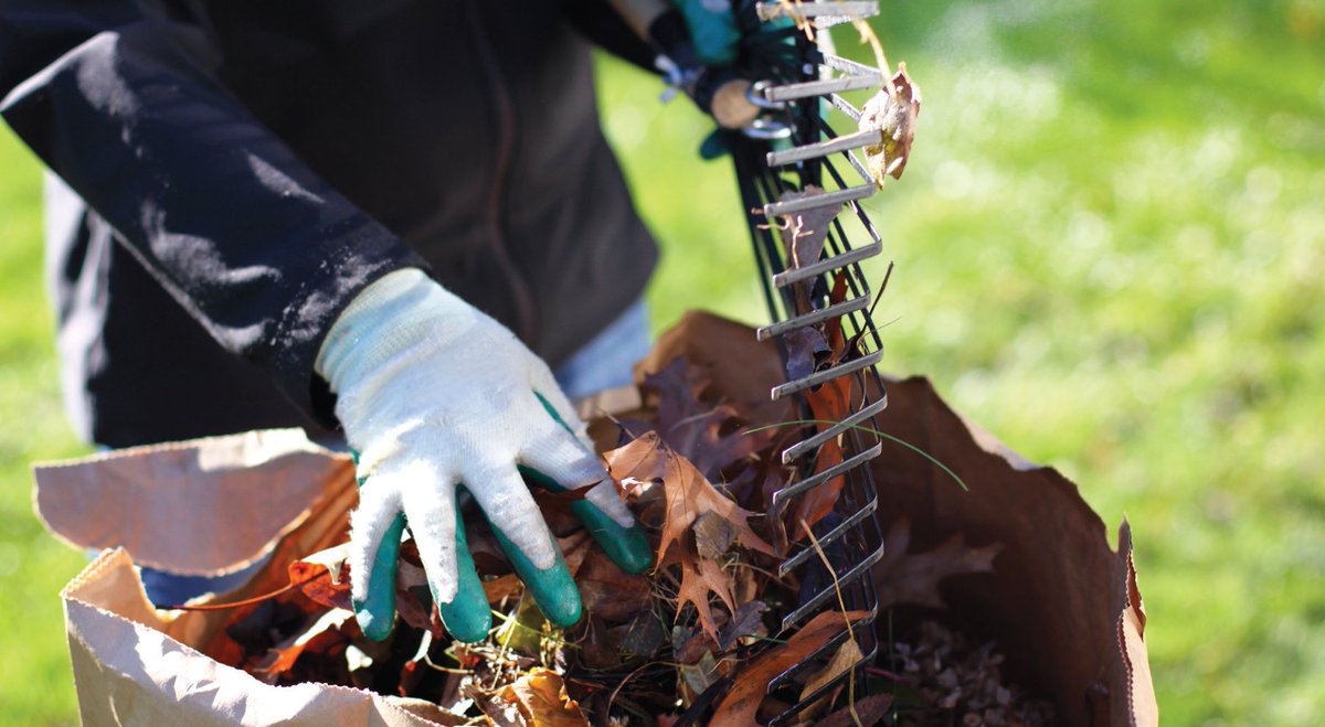 Curbside collection of leaf and yard waste will be continuing throughout the weekend in Rockwood, Eden Mills, Erin, Hillsburgh, Crosscreek, and some areas in Fergus and Elora.

If you live in these areas and materials have not yet been collected, please keep items at the curb.