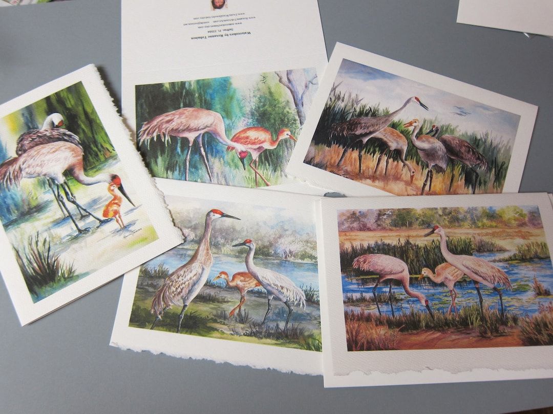 Gift these #SandhillCranes, Variety 5 Note ART Cards 5 x 7 blank greeting Notes Handmade watercolor prints @RTobaison #SDFTT buff.ly/4az2r4w