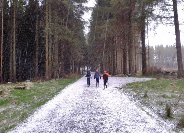 On this day in 2016. Twas snowy in West Lothian and the school kids I was teaching orienteering to were loving it. So much so that they completely ignored me 😆