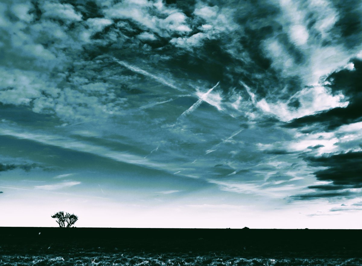 colyerh's tweet image. Pett Level - 22 April 2024 #pettlevel #sussex