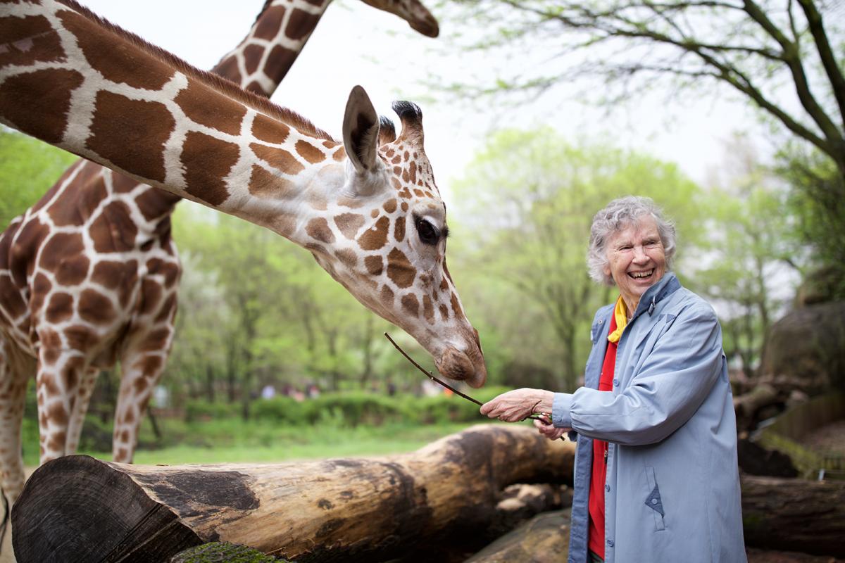 We mourn the loss of author Anne Innis Dagg, a pioneering biologist & conservationist who was the first Western researcher to study giraffes in South Africa, embarking on a solo trip in 1956. Her trailblazing spirit and profound contributions to giraffe research have left an