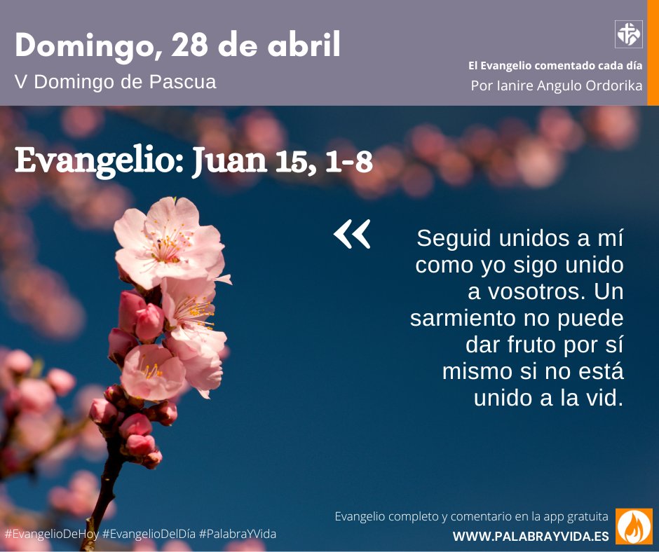 Repite despacio, con toda ternura: siempre contigo, mi Señor. Oración: Nada soy, Señor, sin ti. Ayúdame a dar fruto. Acción: Reza un Padrenuestro y saborea el 'hágase tu voluntad'. #EvangelioDelDía #EvangelioDeHoy #PalabrayVida @IanireAngulo #Pascua ¡Buen domingo!