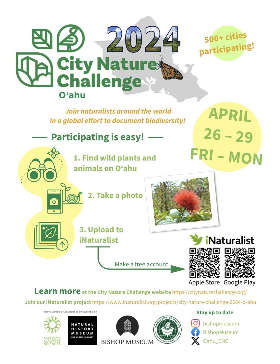 Oahu_CNC's tweet photo. The @citnatchallenge just kicked off! Make plans with family and friends to head outside this weekend to snap pics of plants and animals! Download the inaturalist app to easily upload the photos directly. Over 690 cities competing including Hawaiʻi island! https://t.co/YYM7Ae7LBS