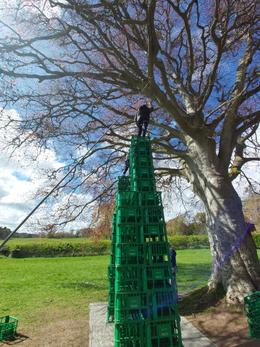 Forres Academy Inclusion tweet media