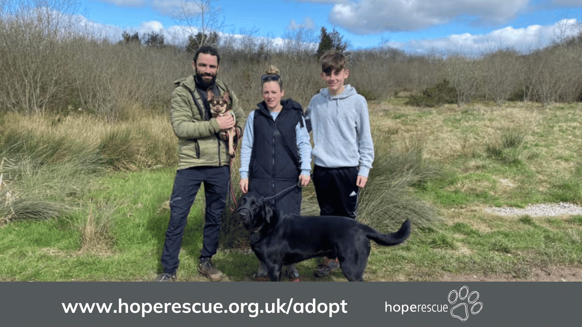 A memorable day for marvellous Mickey This striking boy stole the hearts of the staff here at Hope, so we’re delighted that he’s found his forever home. Could you be the next step in the life of a Hope dog? 👉 hoperescue.org.uk/adopt Thank you @burnspetfood for your support