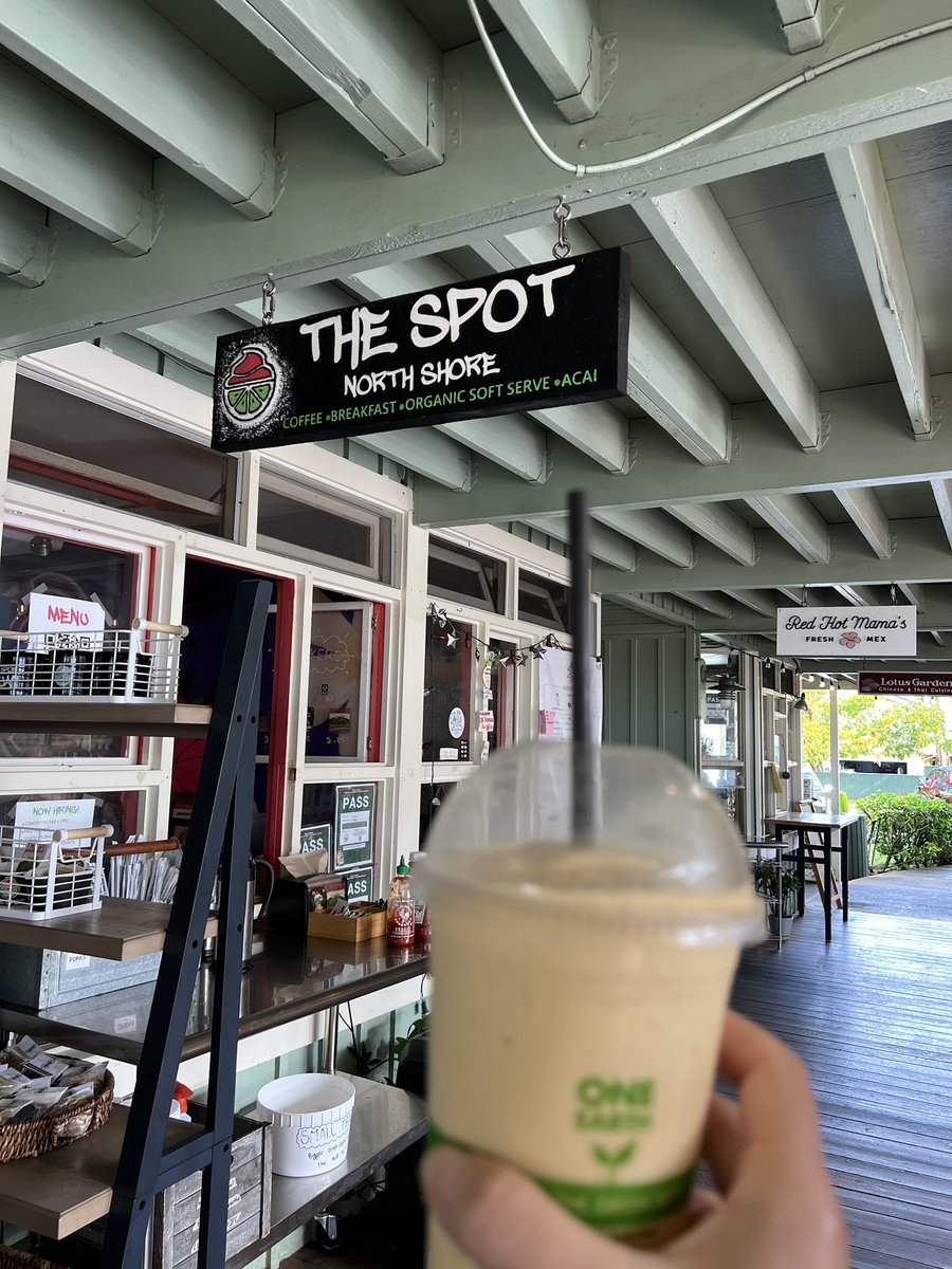 Starting my morning in #kauai with The Spot! @gohawaii @gohawaiica #vegan #smoothie #hawaii