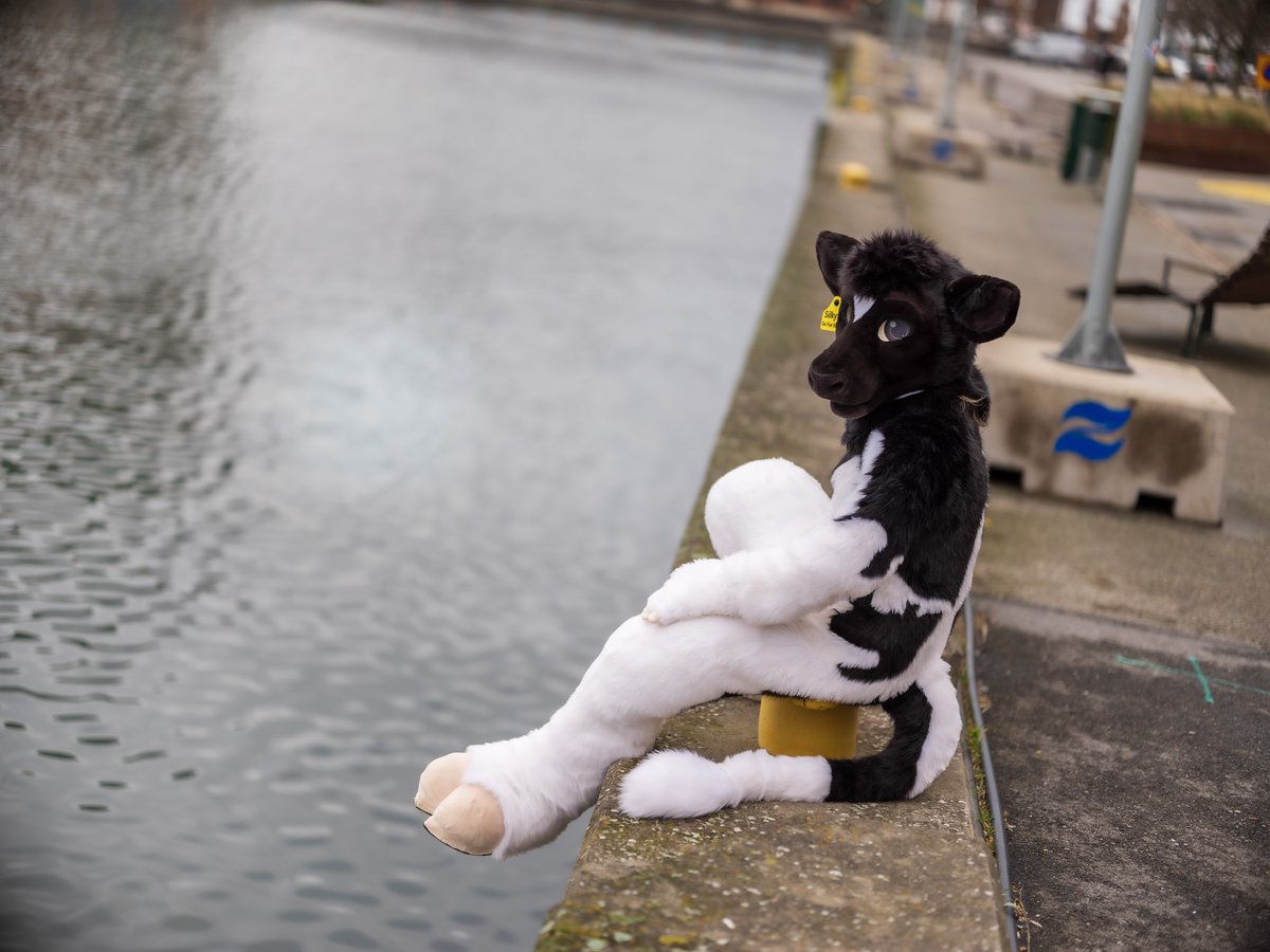Just chilling at the harbour of Malmö. Photo by @CaptainChaotika Fursuit by the amzing @GoFurItstudios #FursuitFriday #furryfandom