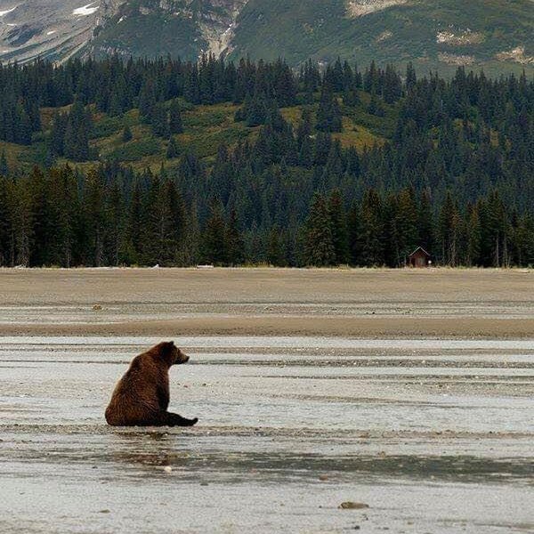 It’s Friday!!! We’re using exclamation points, so you know we’re excited! Now we’re using a period, so you know we’re not too excited. Here's another period as a buffer, proving our normalness. 

#NationalParkWeek