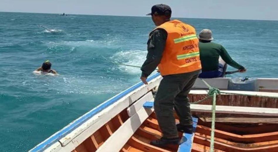 #26Abr #NuevaEsparta Se intensifica la búsqueda de Frank Williams López, un buzo de 24 años de la isla de Coche, quien desapareció en la mañana del jueves 25 de abril tras sumergirse en las aguas de Punta de Piedras, isla de Margarita. López fue visto por última vez en el…