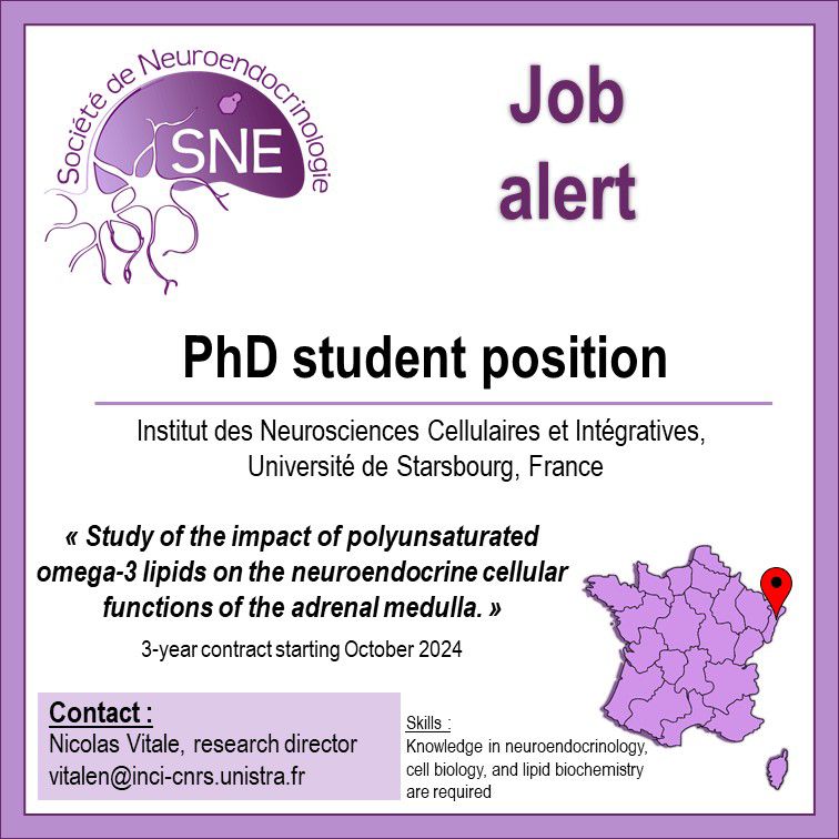 🚨Job alert: PhD position in Dr Nicolas Vitale @incicnrs, Strasbourg, France.