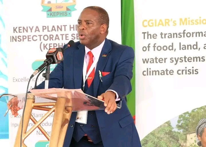 The Managing Director, KEPHIS Prof. Theophilus Mutui, making his remarks during the official groundbreaking ceremony of the Sh260 million Roots, Tubers, and Bananas East Africa Germplasm Exchange Laboratory (RTB-EAGEL).

Prof. Mutui said that farmers in Kenya and Africa will