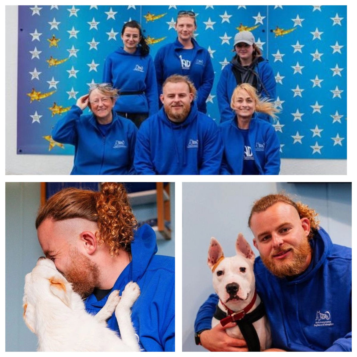 🎉 Congratulations to our Ambassador Finlay Bealham who made his 200th cap 🎉 🙏Thank you, Finlay, for your support to MADRA, we and all our dogs are so grateful 🙏 💙 Helping us help unwanted, abandoned & neglected dogs 💙 @FinlayBealham #AdoptDontShop #Galway #rescuedog