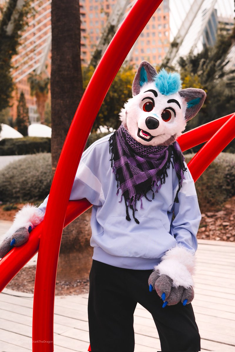 Hey there, cutie :3 Wanna hang out and maybe grab a hot coffee this chill  #FursuitFriday ?

Pic taken by <a href="/starkthedragon/">Stark</a>