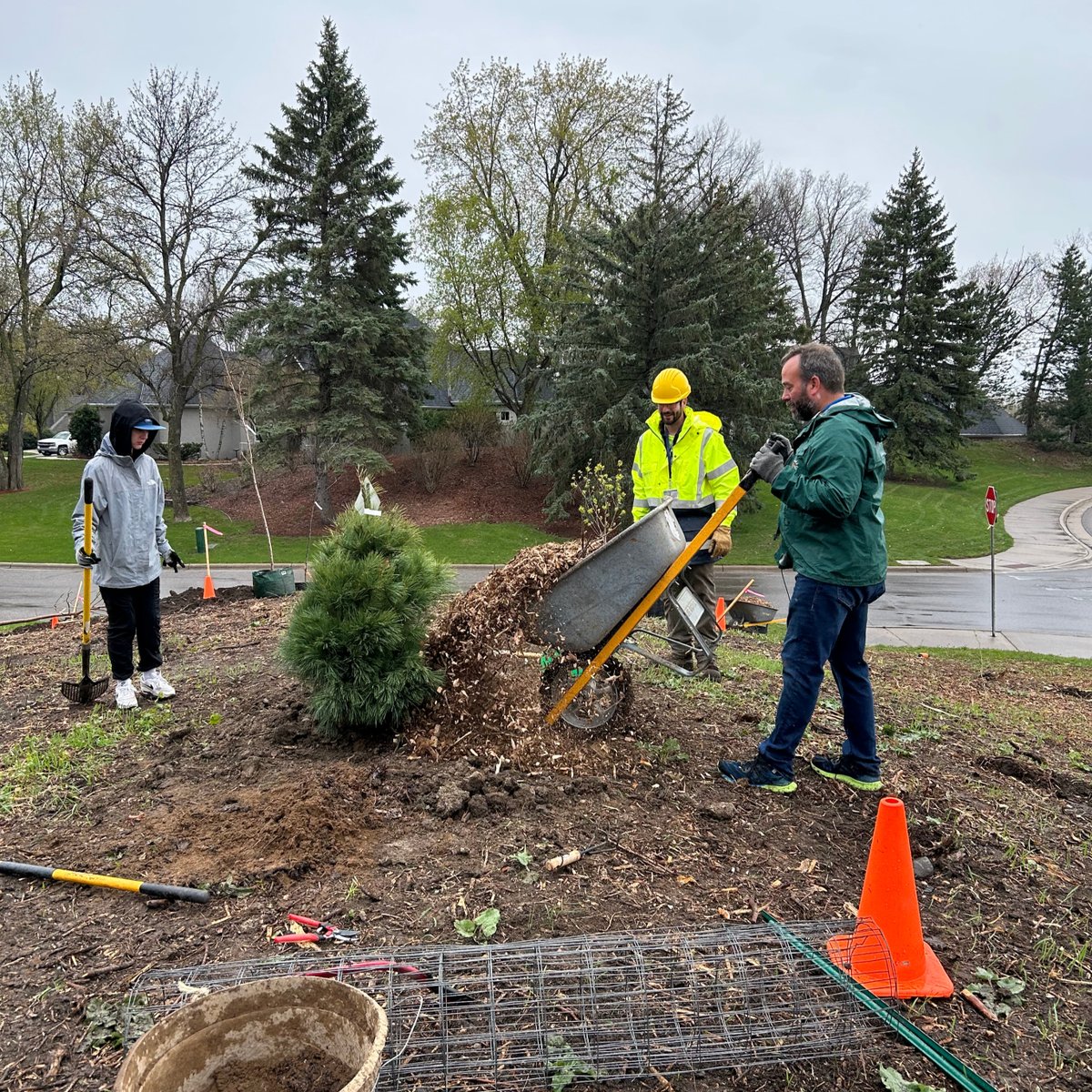 It’s National Arbor Day! Raise your limbs to celebrate members of the Minnetonka Rotary Club, who volunteered with Natural Resources staff to plant trees near @mtkafd Fire Station 5, where emerald ash borer-infested ash were recently removed.
