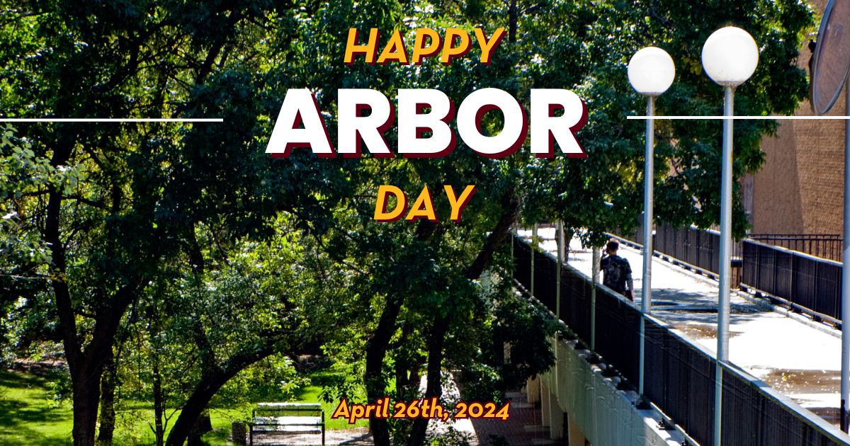 Enjoy this gorgeous picture of UMN featuring our majestic trees! 🌳🌲 Happy Arbor Day! 🌿🌳 #UMN #UMNAlumni @‌umn_forestry