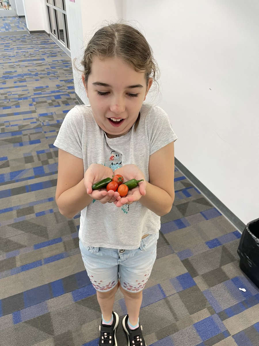 Heather Shulman (@shulmanshines) on Twitter photo Our first harvest! 💙🍅💙🫑🌶️ Ss have loved helping our gardens grow! <a href="/HickoryRidgeES/">Hickory Ridge Elementary</a> <a href="/CabCoSchools/">Cabarrus Co. Schools</a> <a href="/unionpowercoop/">Union Power Cooperative</a> <a href="/NCSLMA/">NCSLMA</a> Our first harvest! 💙🍅💙🫑🌶️ Ss have loved helping our gardens grow! <a href="/HickoryRidgeES/">Hickory Ridge Elementary</a> <a href="/CabCoSchools/">Cabarrus Co. Schools</a> <a href="/unionpowercoop/">Union Power Cooperative</a> <a href="/NCSLMA/">NCSLMA</a>