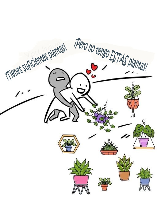 🏡🌻 ¡No hay tal cosa como demasiadas plantas, solo espacios sin descubrir! 🤣

#AsistenciaEcológica #plantas #plantasencasa #plantasdecasa #plantasdeinterior #AmorPorLasPlantas #PulgarVerde #AdictoALasPlantas #SelvaUrbana #JardínInterior #Comenta #Comparte #Siguenos #Like