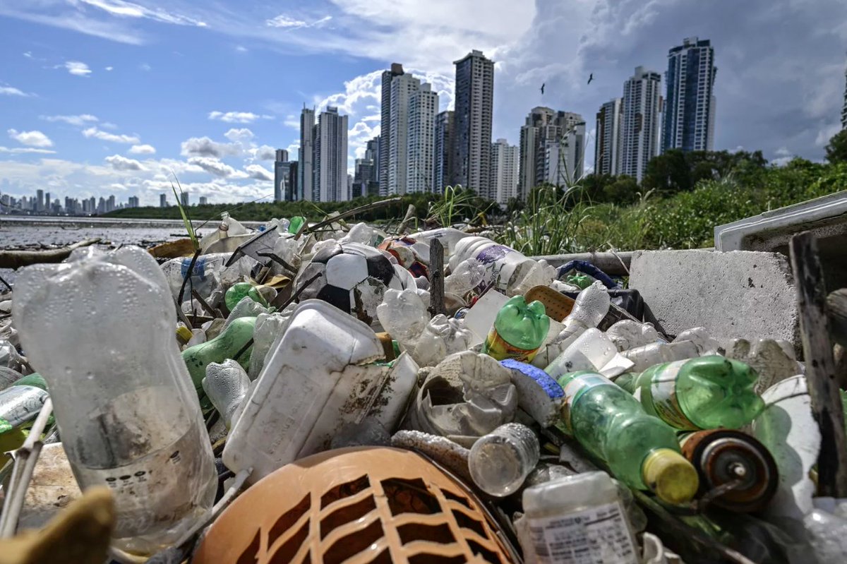 Take a moment to read this recent news article on the progress of the plastics treaty by Michael Copley with NPR--and if you read all the way through, you'll see a quote from our Co-Leader Dr. Susanne Brander! beav.es/cz8