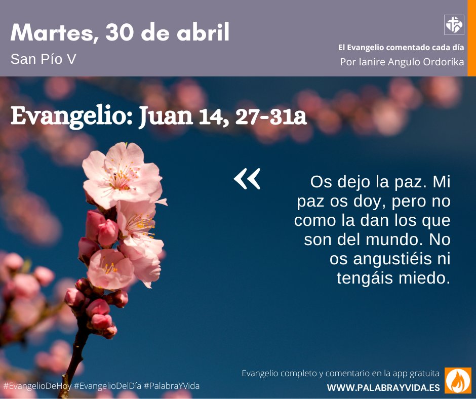 🫲 Recibe la paz que te regala el Señor resucitado. No te la da para que te sientas bien, te encierres y nada te moleste. Te la da para que, pase lo que pase, no te inquietes, estás en buenas manos. @IanireAngulo #EvangelioDelDía #EvangelioDeHoy #PalabrayVida #Pascua