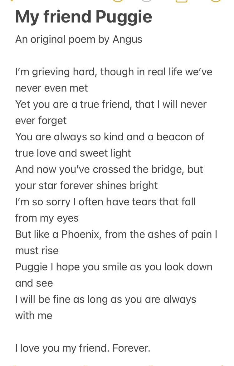 @PugnatiousG Angel Puggie @PugnatiousG I know you are taking a break while your loved ones continue to grieve. But I was thinking of you today and wrote this for you. I love you always. 🌈❤️