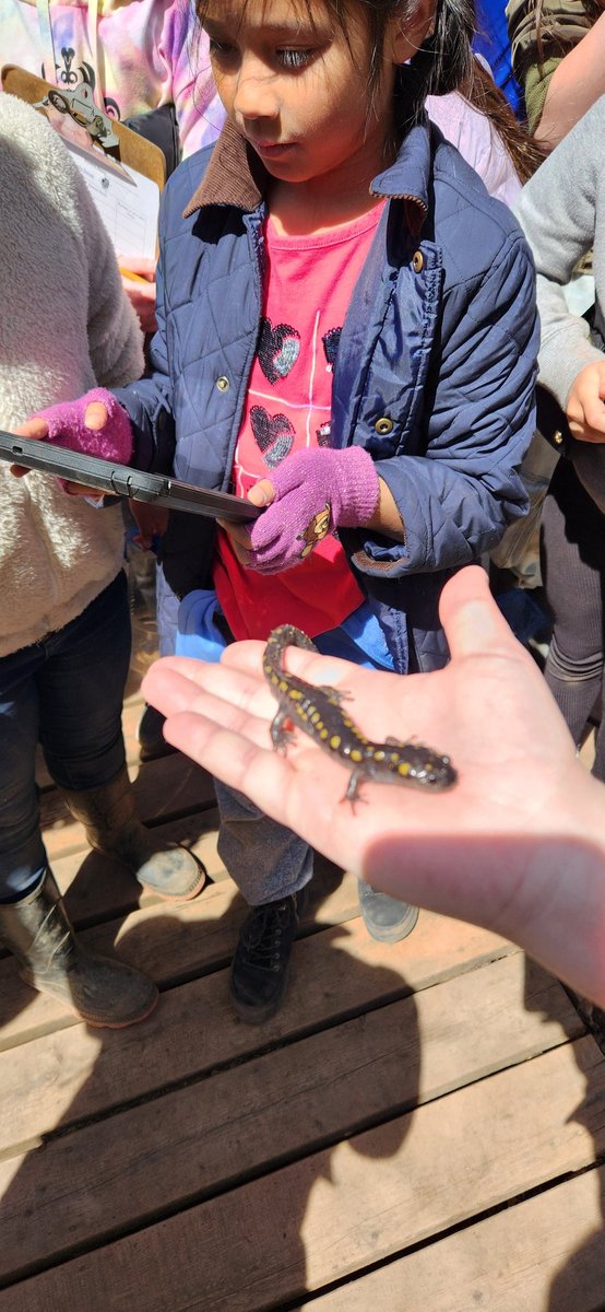 Our <a href="/StClareDP/">StClare</a> grade 4s had a beautiful day to visit Silver Creek today. Thx to <a href="/DPOutdoorEd/">Silver Creek Outdoor Education Centre</a> S. Podolsky for guiding us on a nature hike and leading an exploration of a pond habitat. Learning made fun!