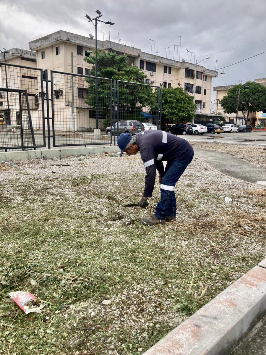 📍Sur de Guayaquil | Cuadrilla de la Dirección de Ambiente ejecuta trabajos de mantenimiento agronómico en parques de la Cdla. Valdivia. @aquilesalvarez #AlcaldíaDeTodos