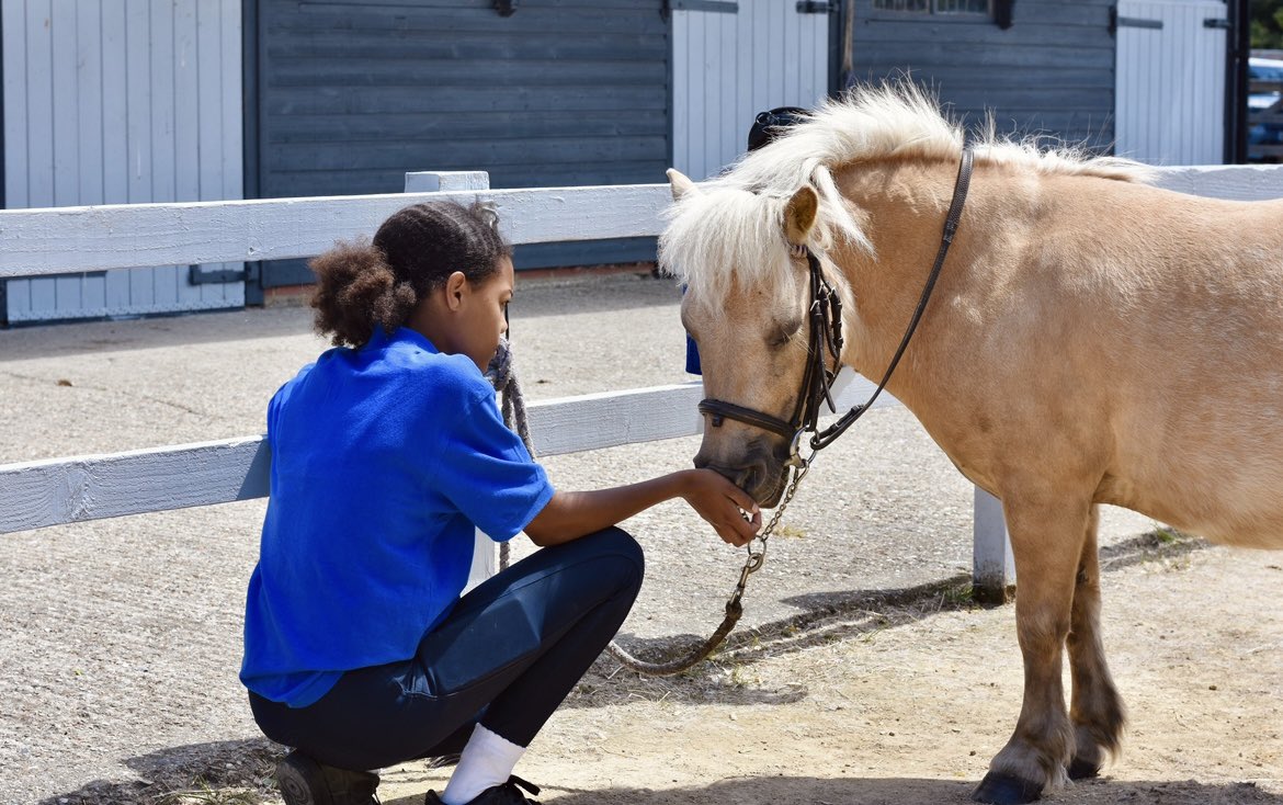 Fun Fact Friday!
-
Did you know that there are around 350 different horses breeds around the globe? 🐴 What is your favourite breed? We love our clever, friendly and very cheeky Shetland Ponies! 💙
-
#thelittleponyclub #pony #horse #shetlandpony #fun #littlejockeys #riding
