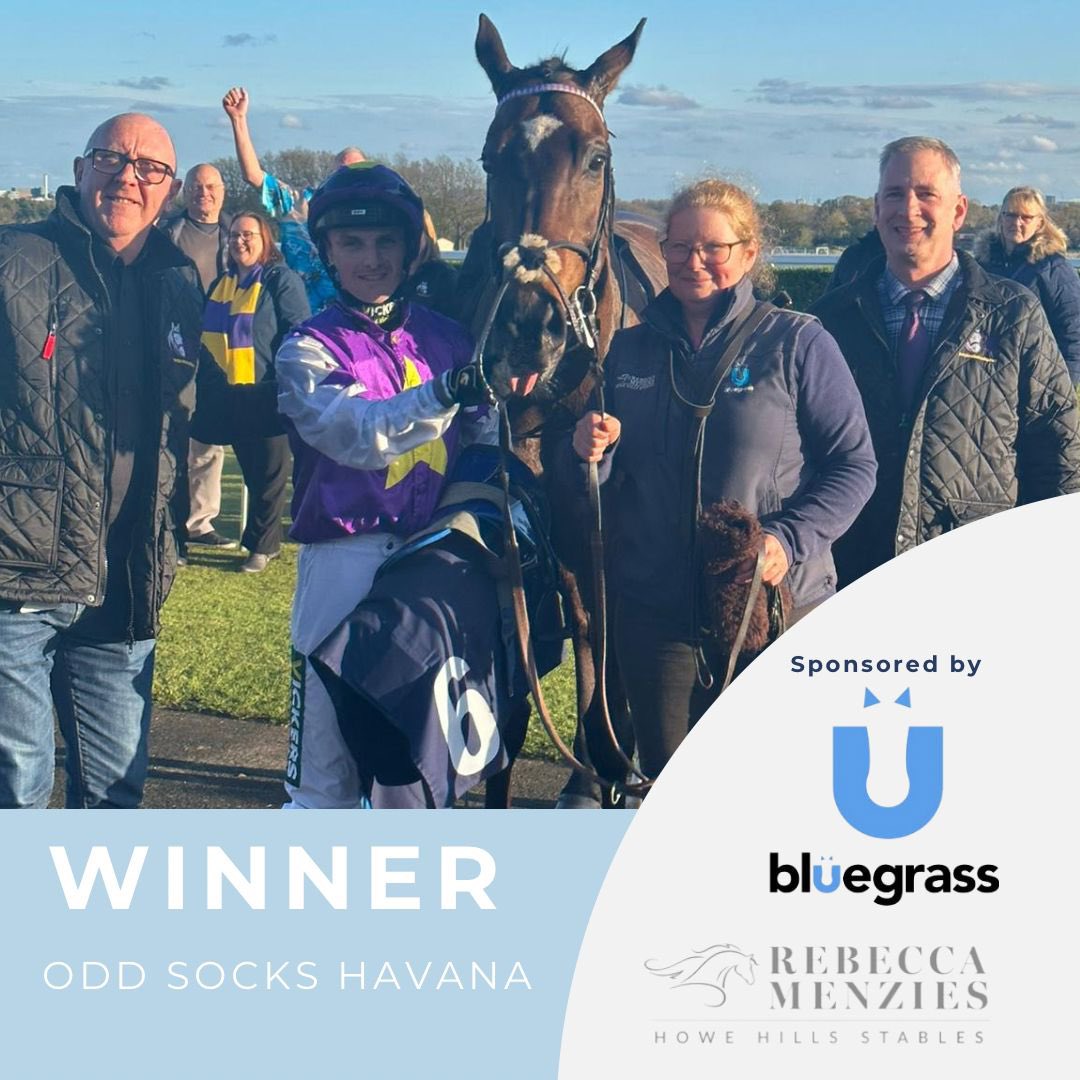 🏆WINNER🏆 Odd Socks Havana wins @newcastleraces . A brilliant ride by @connorbeasley9 . Congratulations to owners Purple Reins Racing. Another winner fed on @bluegrasshorsefeed #poweredbybluegrass #winner #racehorse #fedonbluegrass #horseracing #racehorsetrainer #rebeccamenzies…