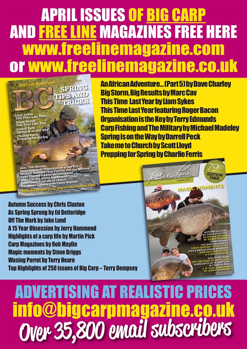 BigCarpMag tweet picture