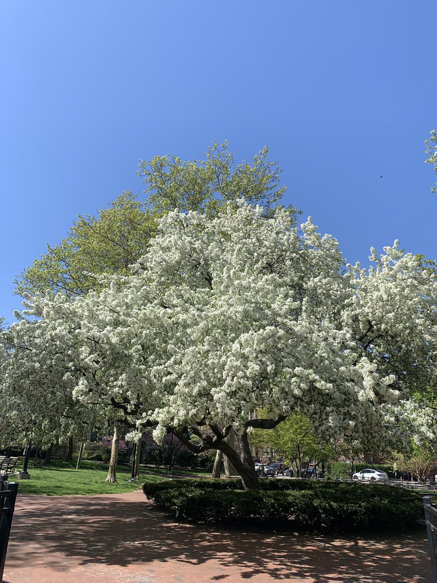 CityofHoboken tweet picture