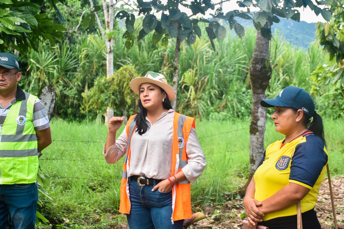 Gratificante ver los campos de #Yantzaza reverdecer con "𝙎𝙚𝙢𝙗𝙧𝙖𝙣𝙙𝙤 𝙁𝙪𝙩𝙪𝙧𝙤", iniciativa del <a href="/GADYantzaza/">Alcaldía de Yantzaza</a>, con apoyo de la empresa privada.🧑‍🌾🌽Los resultados del trabajo de jóvenes productores están a la vista. Este es un ejemplo de unidad.🤝💚💛❤️
#YantzazaSiempre🇪🇹